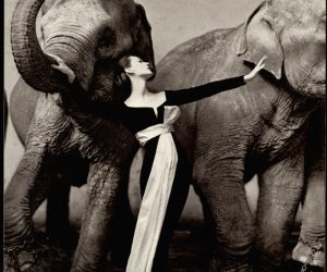 Record mundial de Richard Avedon